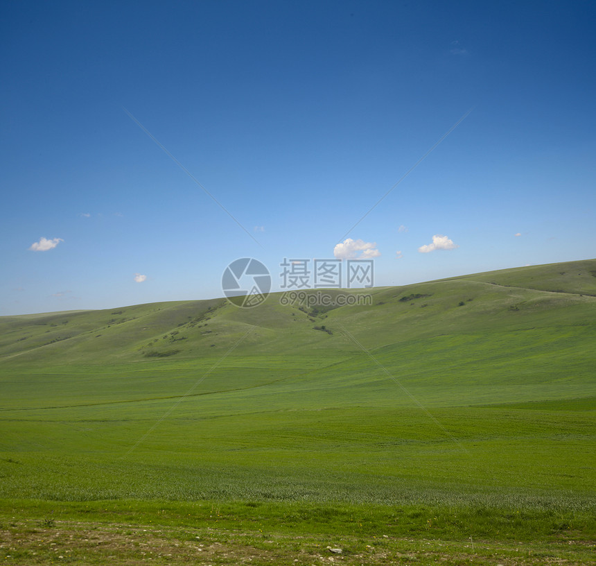 绿草和蓝天空景观图片
