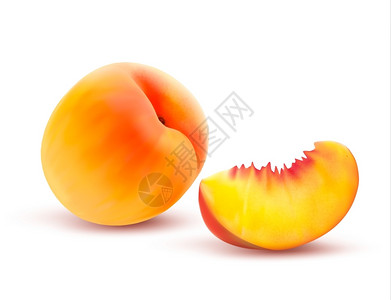 两个杏桃子和切片矢量插图插画
