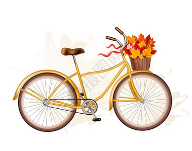 秋天的自行车有丰富多彩的叶子矢量图片