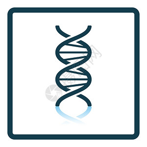 DNA图标螺旋图标高清图片