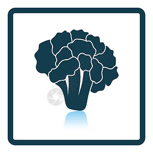 加工图标Cauliflower图标影子反射设计背景