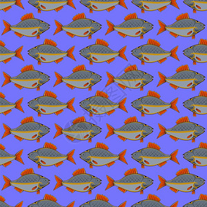 蓝色背景上的鱼群图片