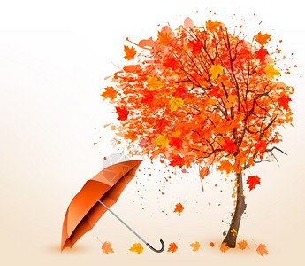 秋天背景叶和红伞矢量图图片