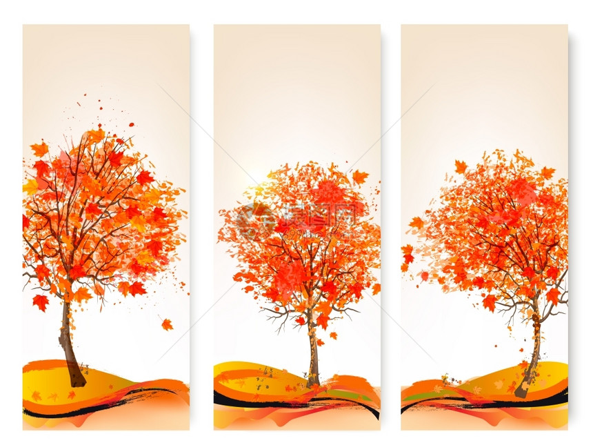三个秋天的抽象横幅上面有多彩的叶子和树图片