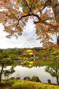 京都金殿寺图片