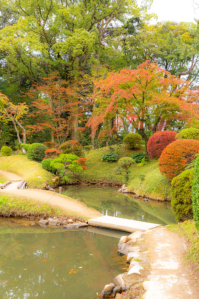 美丽的日本花园秋叶图片