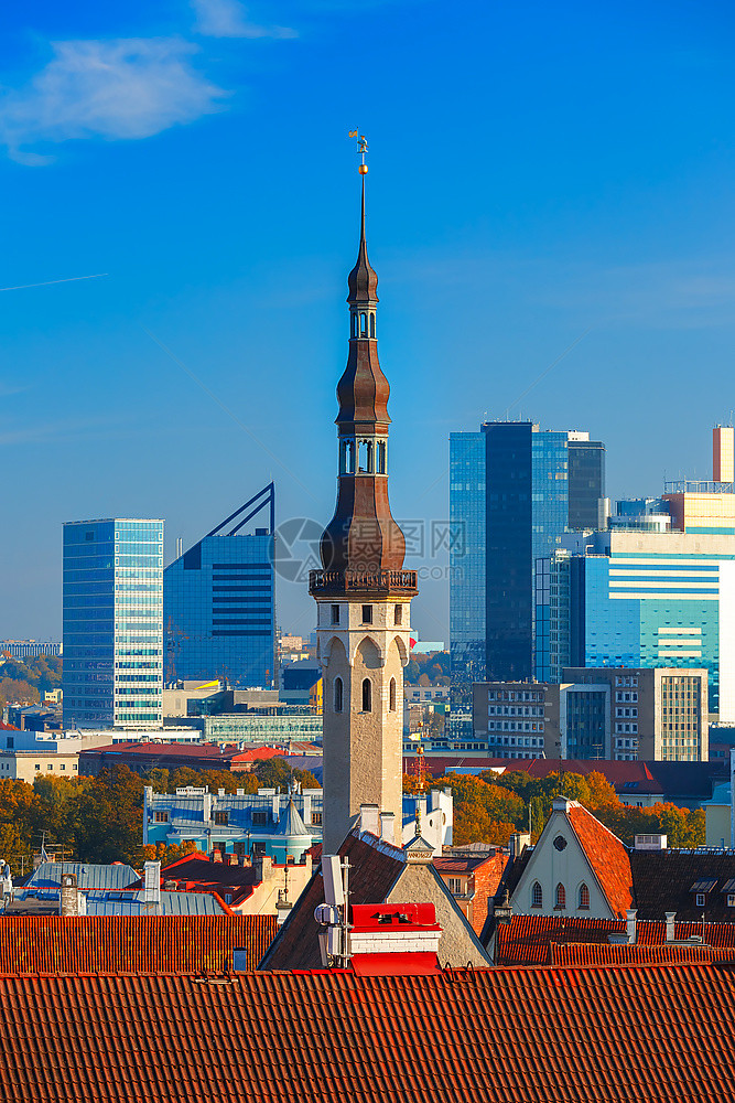 爱沙尼亚塔林Tallinn当天背景的摩大厦图片
