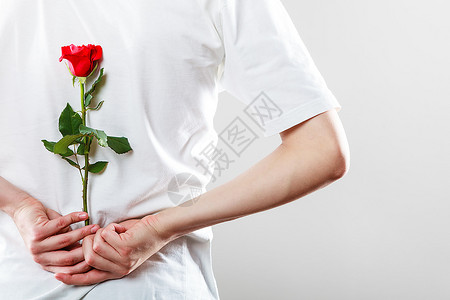 单身红玫瑰的男人周年求婚和订的理念图片