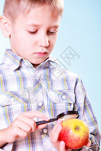 孩子用放大镜检查苹果早期教育自然和生物学发现小男孩用放大镜检查水果苹图片