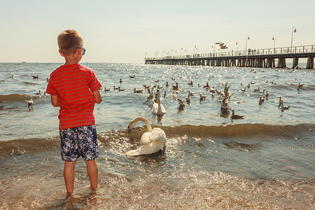 保护海洋的孩子小孩和大白海鸟玩得开心背景