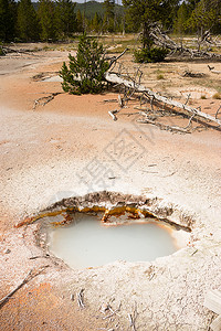 在黄石公园的艺术家喷漆池区冒起热泉泡沫背景图片