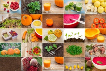 园艺和健康饮食主题从花园新鲜的水果蔬菜汁和汤图片