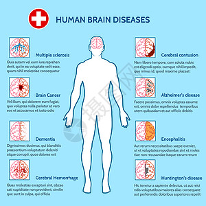 人体器官大脑心理健康和人类脑疾病背景