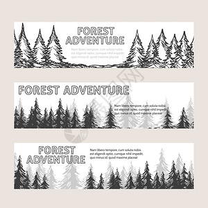 有松林的单色水平横幅有松林和文字森冒险的单色横幅矢量插图图片