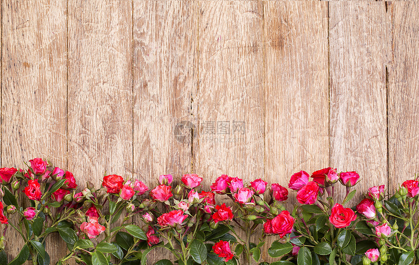 木板上的红玫瑰情人节背景图片