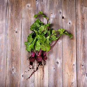 从花园中新鲜采摘的甜菜在生锈木板上的头部视图土壤仍在根部图片