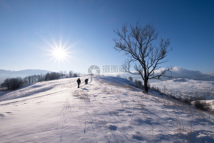 阳光明媚的冬季山丘图片