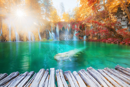 美丽的阳光明媚瀑布克罗地亚普利维茨公园高清图片