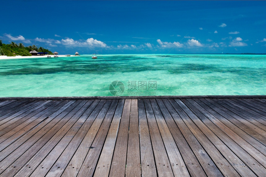 马尔代夫热带海滩鲜有棕榈树和蓝色图片