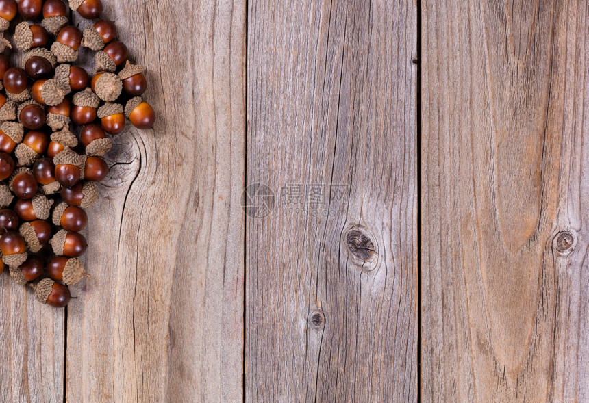 俯视着季节秋天左上角玉米装饰在生锈的木板上图片