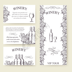 Winerybouqlet和卡片模板集矢量插图图片