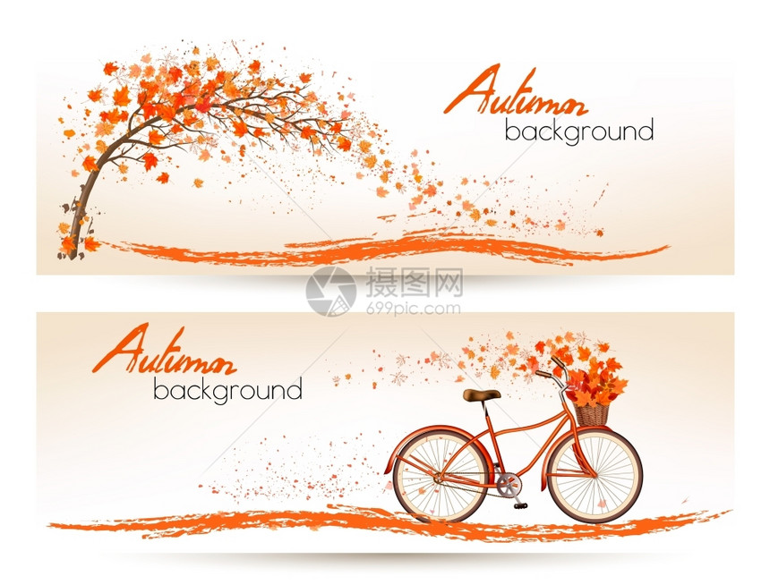 秋天丰富多彩的叶子和自行车背景图片