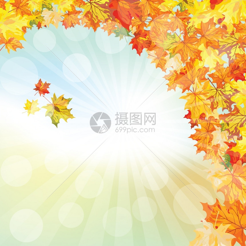 秋天框架空背景上有落叶太阳光线和理想平衡颜色的优雅设计矢量I说明图片