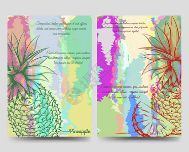 矢量菠萝Pineaples明亮的小册子传单模板亮的小册子传单矢量模板配有手工绘制的菠萝圆光影矢量插图背景