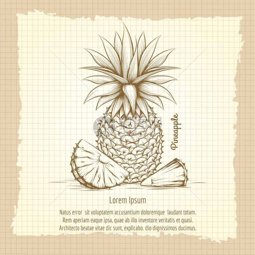 Pineapple反向风格海报用旧笔记本背景绘制pineappleRetro风格海报矢量插图图片
