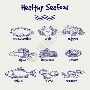 复古大字报小龙虾以球笔风格设置的健康海产食品手画的健康海产食品组合以球笔绘画风格制矢量插图背景