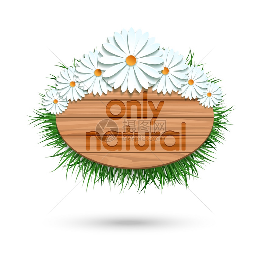 木板上标有卡米尔的木板横幅上标有卡米尔的花束和白色隔离的草矢量插图图片