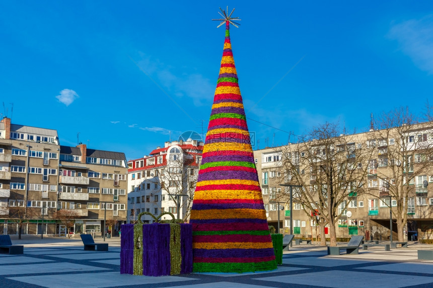 波兰弗罗茨瓦夫的圣诞树图片