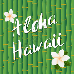Aloha夏威夷Aloha夏威夷粉刷文字在竹根底部和花朵上的粉刷文字设计Aloha夏威夷粉刷文字在竹根底部和花朵上的矢量设计热带图片