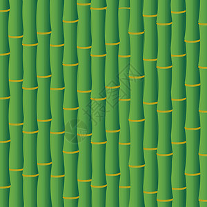 竹子矢量竹树背景生态亚洲向量概念绿竹茎背景背景