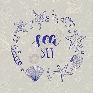 贝壳手绘素材海壳背景手绘元素恒星和珊瑚圆形框背景