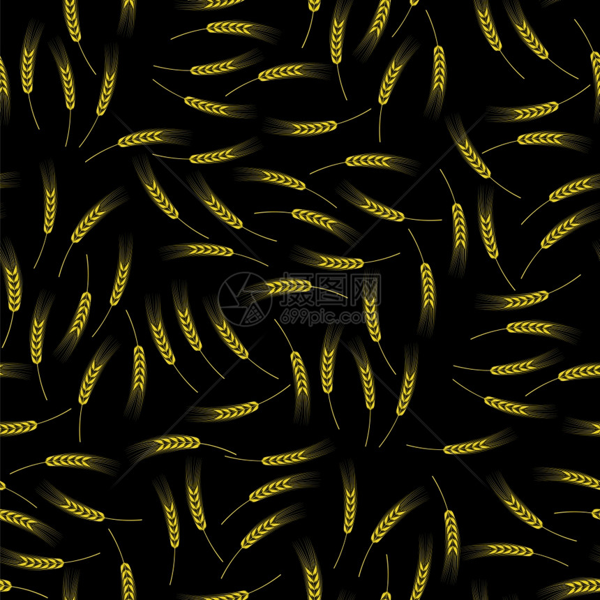 黑暗背景上的黄小麦无缝模式有机天然谷物刺黄小麦无缝模式图片