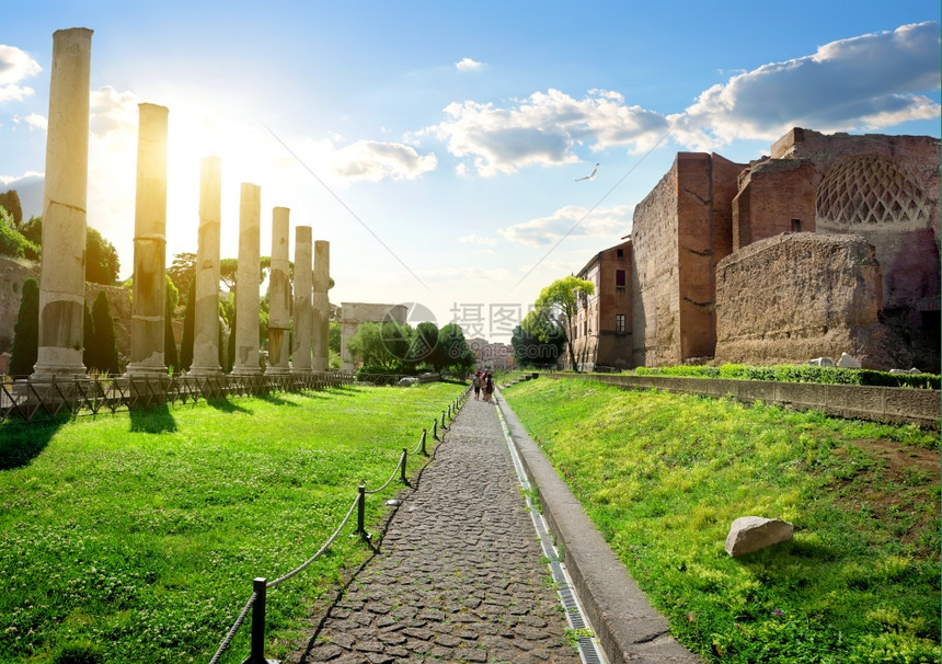 通往罗马论坛之路意大利罗马Colosseum图片