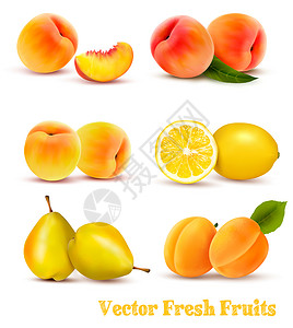 梨矢量大群黄橙水果矢量背景