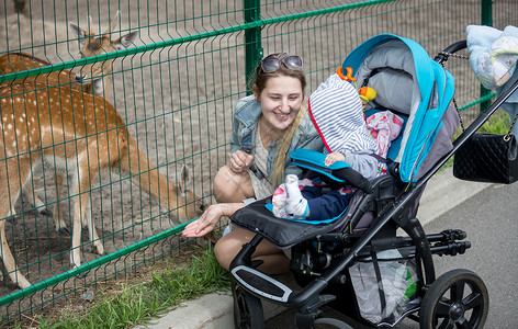 快乐宝妈毛笔字美丽的宝妈推着婴儿车带宝宝在动物园背景