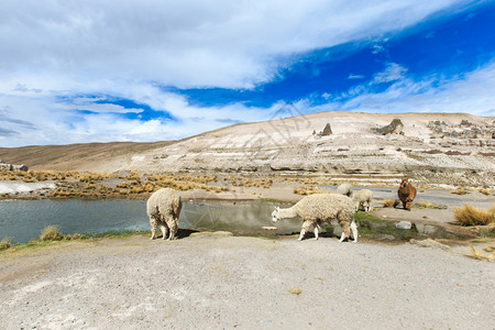 秘鲁安第斯山图片
