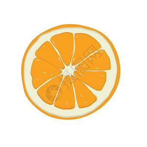 甜橙子水果主题矢量画插图背景图片