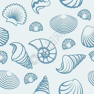 矢量贝壳模式海手画背景图片