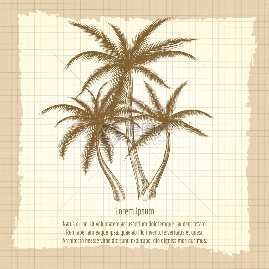 带有棕榈树的旧海报笔记本页上印有棕榈树的旧海报矢量插图图片