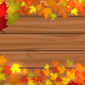 含有秋木叶的本背景含有秋木叶矢量插图的木本背景图片