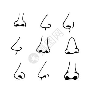 鼻子解剖手画鼻子图标背景