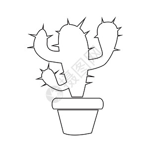 Cactus图标插设计背景图片