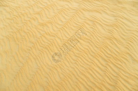 金沙漠的质xAxA图片