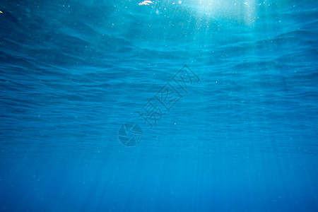 加勒比蓝色具有复制空间的平定水下场景背景