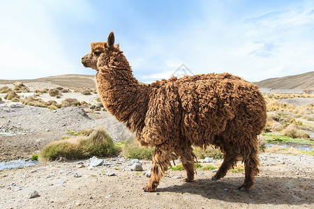 秘鲁安第斯山高清图片