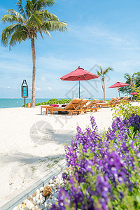 泰国美丽的热带海滩上椅子和雨伞图片